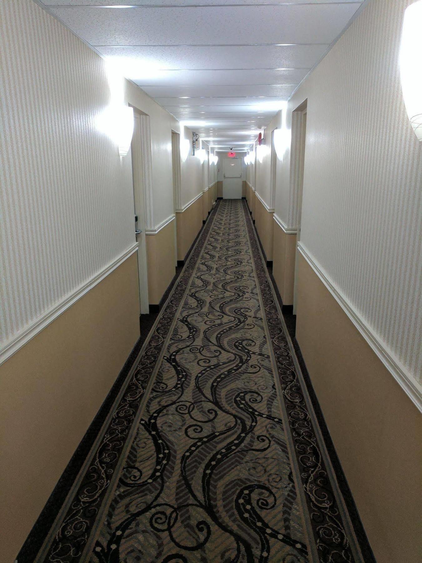 豪华旅馆酒店 科灵伍德 外观 照片